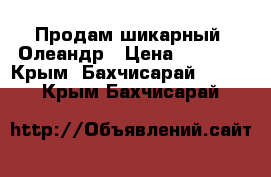 Продам шикарный  Олеандр › Цена ­ 7 500 - Крым, Бахчисарай  »    . Крым,Бахчисарай